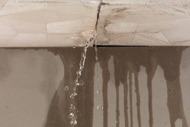 Professional Water Damage Repair technician working in Iola, WI
